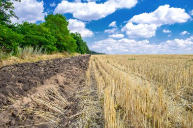 sonra bulutlar üzerinde derin mavi gökyüzü hasat ve altın alan