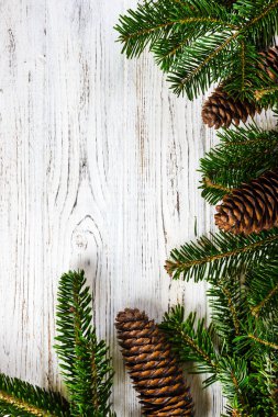 Noel arka plan. ağaç dalları koniler kopya alanı ile