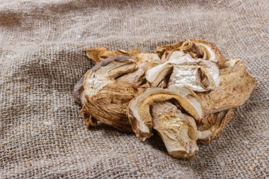 kurutulmuş mantar üstünde tutuyordu. Üstten Görünüm porcini mantar kurutulmuş