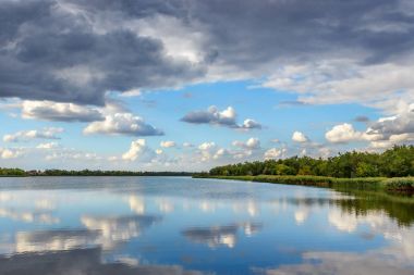 Yaz manzara nehir kıyısındaki yemyeşil çam ağacı ile akşam