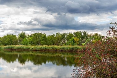 Bir nehir ve yağmurdan sonra dramatik cennet. Hava değişikliği
