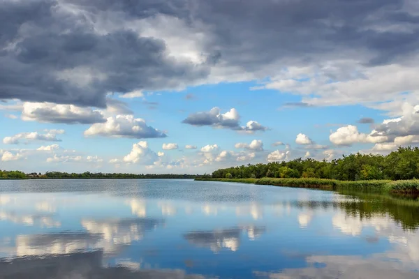Yaz manzara nehir kıyısındaki yemyeşil çam ağacı ile akşam