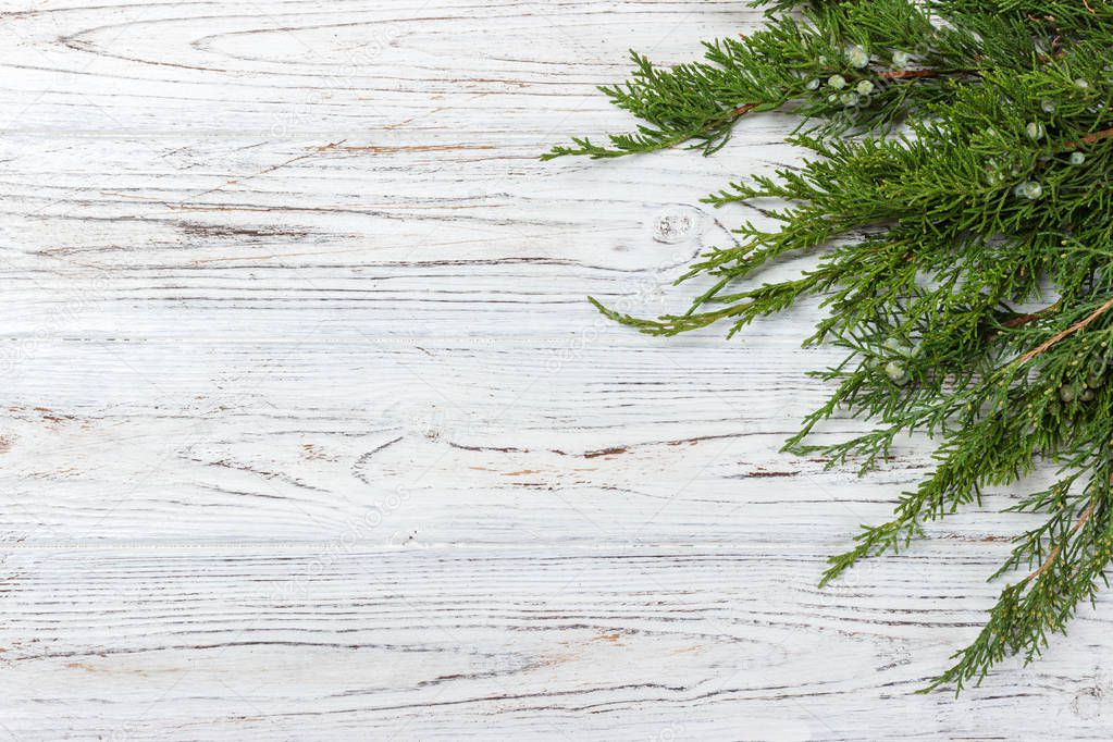 Green thuja branches on rustic wooden background