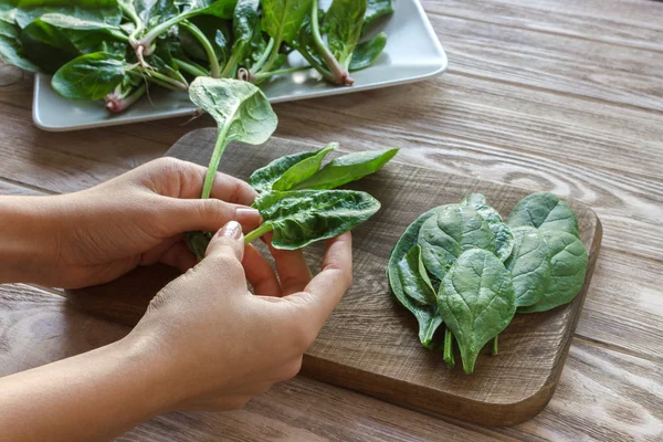 Healthy eating, dieting, vegetarian food and people concept - close up of woman hands holding spinach at home — Stock Photo, Image