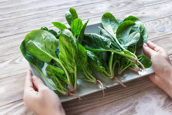 Fresh spinach in a plate on rustic wooden background. Meal preparation concept — Stock Photo, Image