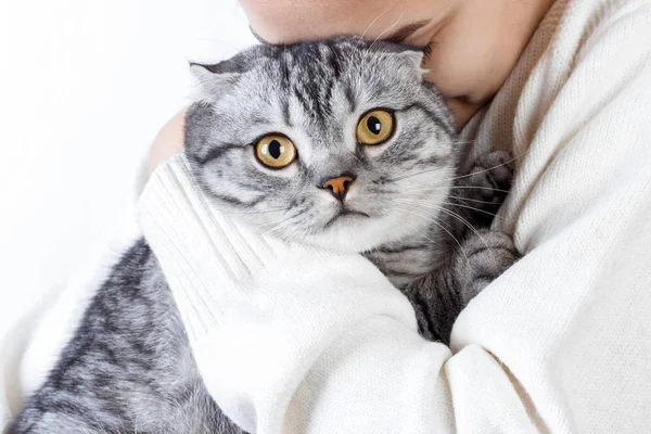 Mooie jonge vrouw met schattige kat rusten thuis — Stockfoto