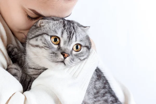 Mooie jongedame met pluizige kat thuis — Stockfoto