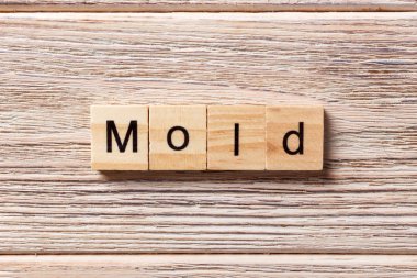 Ahşap blok üzerinde yazılı kelime kalıp. Kalıp metin tablo, kavram