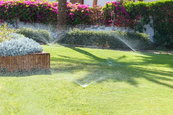 Sprinkler i trädgården vattnar gräsmattan. Automatisk bevattning gräsmattor — Stockfoto