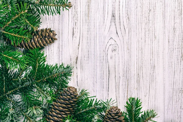 Köknar ağacı ve kozalaklı Noel ağacı. Üst görünüm, boşluğu kopyala. Ayarlanmış — Stok fotoğraf