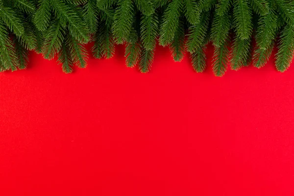 Top view of green fir tree branches on colorful background. New year holiday concept with empty space for your design — Stock Photo, Image