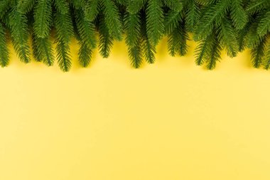 Renkli arkaplan ve kopyalama alanı olan köknar ağacından yapılmış çerçeve üst görünümü. Mutlu Noeller.