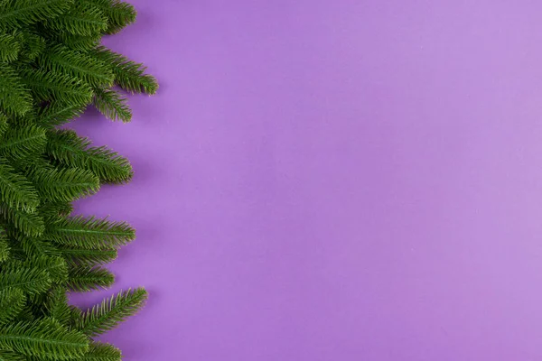 Vue de dessus des branches de sapin vert sur fond coloré. Nouveau concept de vacances de l'année avec espace vide pour votre conception — Photo