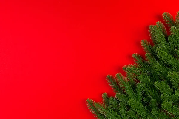Vista superior de ramos de abeto verde no fundo colorido. Conceito de feriado de ano novo com espaço vazio para o seu design — Fotografia de Stock