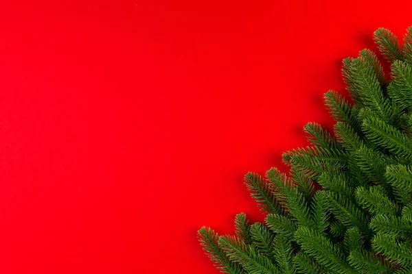 Vista superior de ramas de abeto verde sobre fondo colorido. Año nuevo concepto de vacaciones con espacio vacío para su diseño —  Fotos de Stock