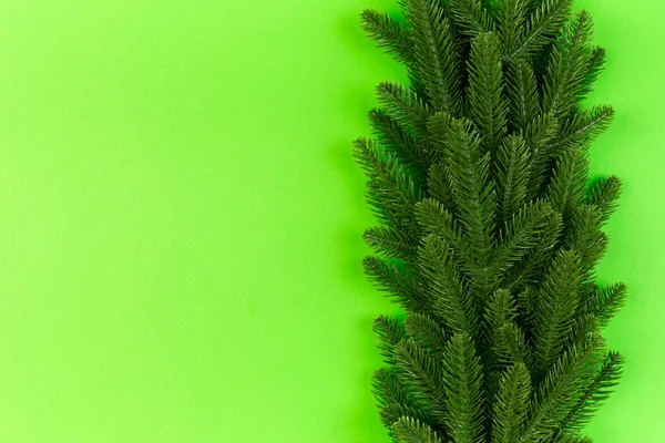Draufsicht auf grüne Tannenzweige auf buntem Hintergrund. Neujahrsferien-Konzept mit Leerräumen für Ihre Gestaltung — Stockfoto