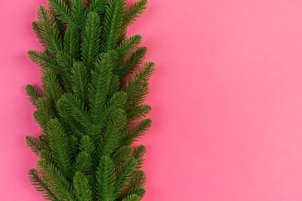 Top view of green fir tree branches on colorful background. New year holiday concept with empty space for your design — Stock Photo, Image