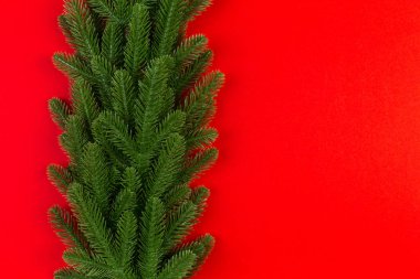 Yeşil köknar dallarından yapılmış renkli arkaplan manzarası. Kopya alanı olan yeni yıl tatili kavramı