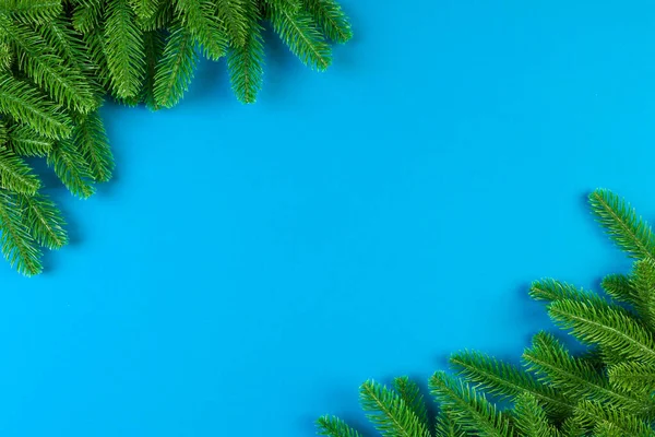 Vista dall'alto di rami di abete verde su sfondo colorato. Nuovo concetto di vacanza anno con spazio vuoto per il vostro design — Foto Stock
