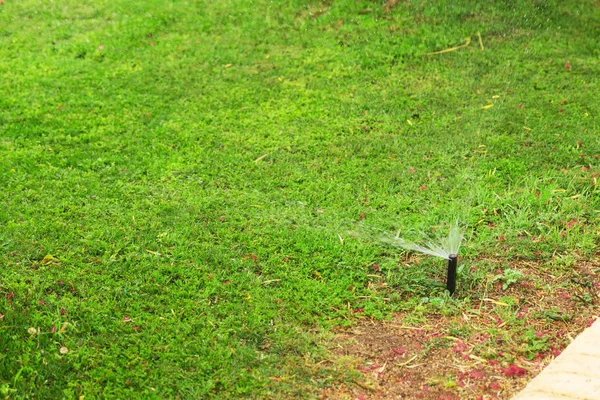 Sproeier in de tuin water geven van het gazon. Automatische besproeiing van gazons — Stockfoto