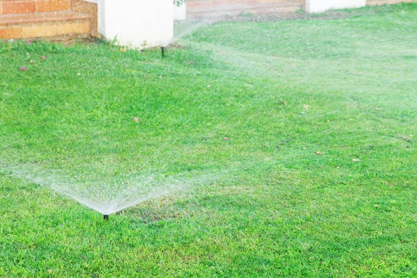 Aspersor no jardim regando o gramado. Gramados de rega automáticos — Fotografia de Stock