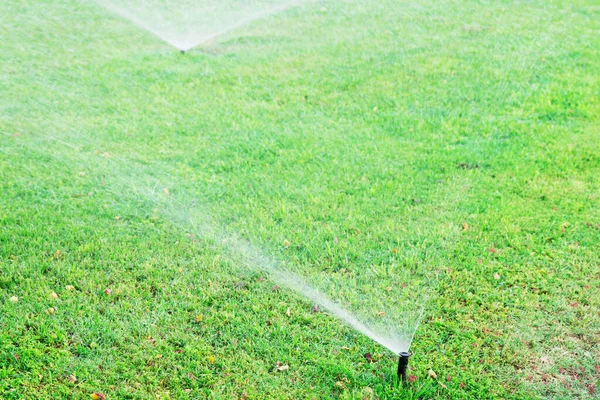 Sproeier in de tuin water geven van het gazon. Automatische besproeiing van gazons — Stockfoto