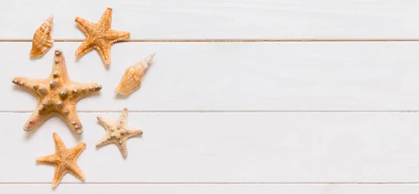 Flat lay of various seashell and starfish on white wooden table, top view. Copy space banner background, summer concept — Stock Photo, Image