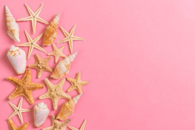 Deniz kabukları kopyalama alanı ile deniz renkli arka plan. seyahatten tebrik kartı veya kartpostal.