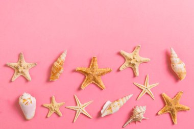 Kopya alanı ile pembe arka plan üzerinde deniz kabukları ve denizyıldızları bir sürü.
