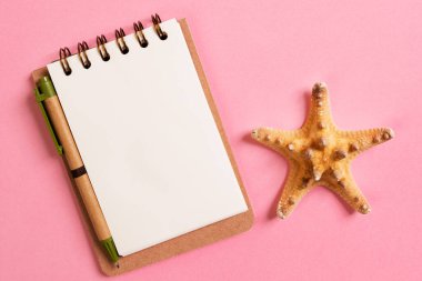 yaz tatili pembe arka plan için deniz kabuğu ile boş dizüstü bilgisayar , Üst görünüm Düz lay kavramı.