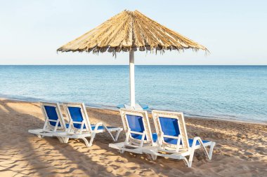 Şemsiye altında bir şezlong. Metal Pergola ve Plastik şezlonglar ile palmiye ağaçları ile kumlu plaj.