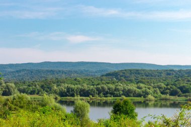 Kırsal bir gölet ve yeşil bir ormanın doğal manzarası. Açık mavi gökyüzü arkaplanı.