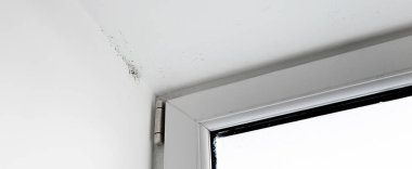 Beyaz renk desen arkaplanının sisli plastik penceresinde küf.