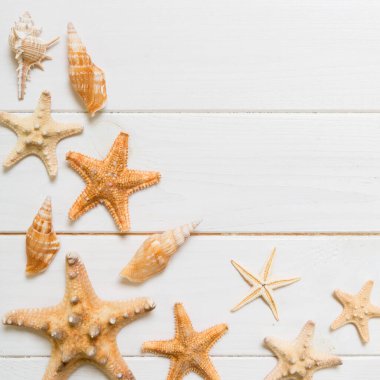 Beyaz arka plan manzaralı deniz yıldızı ve deniz kabukları ile yaz zamanı ahşap masası. Alan arkaplanını kopyala, yaz konsepti.
