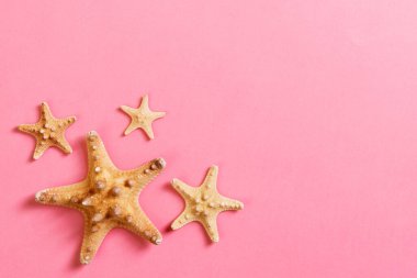 Bir sürü deniz kabuğu ve pembe arka planda bir sürü deniz yıldızı..