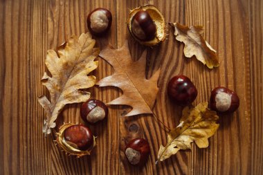 Meşe ve akçaağaç yapraklarının üst görüntüsü, kahverengi tahta üzerinde olgun kestaneler. Sonbahar havası.