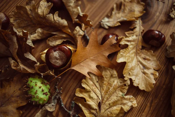 Vista superior de una composición de hojas de roble y arce, castañas maduras sobre una tabla de madera marrón. Humor de otoño . —  Fotos de Stock