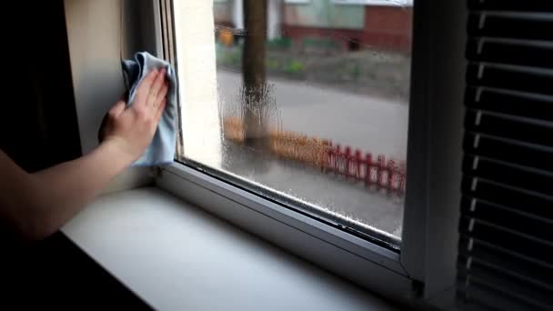 Чоловіки Миють Вікна Вдома Очищення Вікна Допомогою Миючого Розпилювача Пилу — стокове відео
