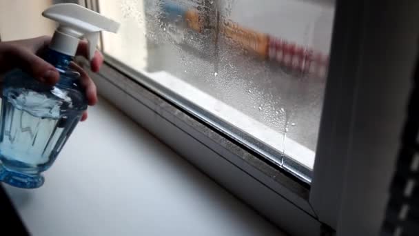 男人在家里洗窗 用洗涤剂和喷雾器清洗窗户 家务劳动和家务活的概念 — 图库视频影像