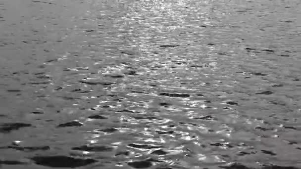 Onde Mare Calmo Lago Fiume Bella Brillante Superficie Scintillante Solare — Video Stock