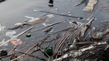 İnsanlar tarafından çöpe atılan plastik ve cam şişeler. Nehirlerin ve göllerin kirliliği, su kaynaklarının ekolojik felaketi.