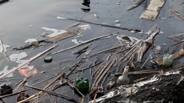 Plast Och Glasflaskor Slängda Floden Folk Som Sopor Föroreningar Floder — Stockvideo