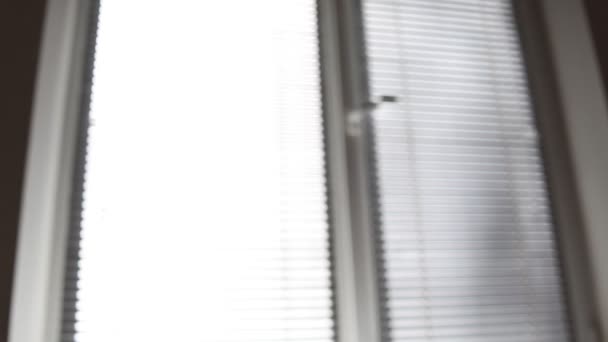 Silhouette Une Main Masculine Avec Signe Victoire Sur Fond Fenêtre — Video