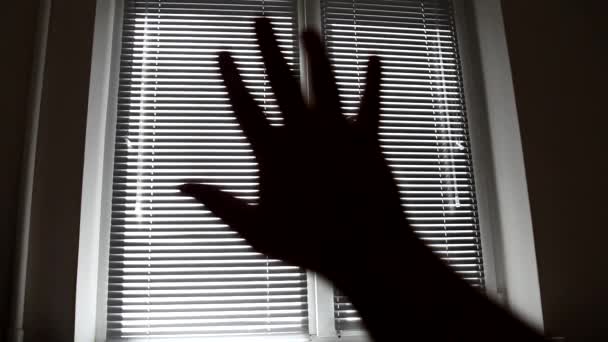 Close Unfocused Silhouette Man Hand Reaching Light Background Window Room — Stock Video