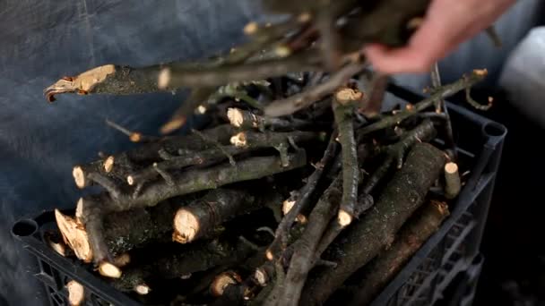 Een Man Legt Droge Takken Een Doos Takken Fruitbomen Voor — Stockvideo