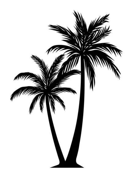 ヤシの木のシルエットの詳細イラスト黒と白 — ストックベクタ
