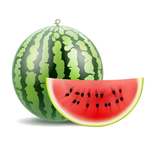 Vattenmelon Vattenmelonskiva Realistisk Vektor — Stockfoto