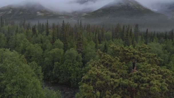 Flygfoto Över Bergen Hibiny Den Arktiska Cirkeln Ryssland — Stockvideo