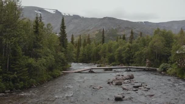 Az utazó átkel a fából készült hídon a gyönyörű hegyi folyón a Scenic Forest-ben. Hibás. — Stock videók