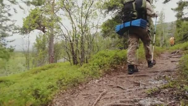 Groupe de touristes avec de grands sacs à dos va le chemin de la forêt . — Video